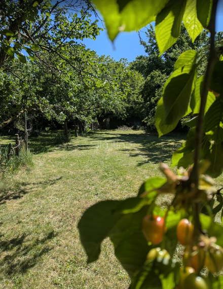 Exkluzívne na predaj útulná chalupa 190 m2, na pozemku 1265 m2, Veľké Ludince,  Levice