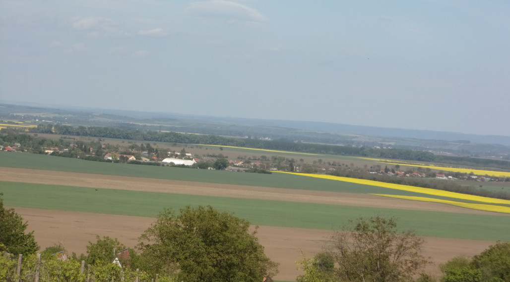 EXKLUZÍVNE v ponuke rekreačný pozemok 2950 m2 v obci Čaka neďaleko Levíc.