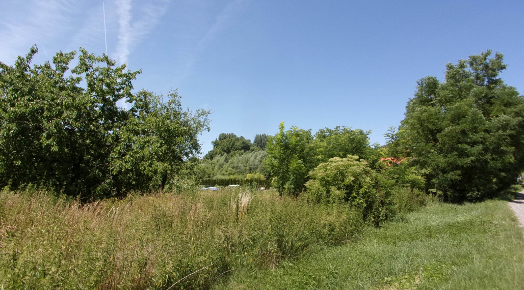 Exkluzívne predaj pozemku 4020 m2 , investičná príležitosť, obec Bardoňovo, blízkosť termálneho kúpaliska Podhájska