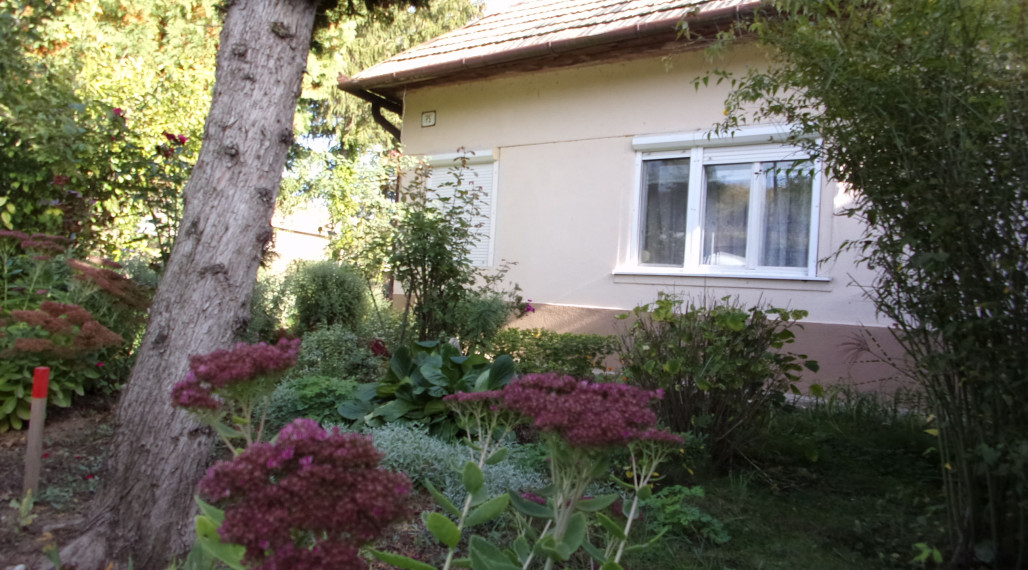 Na predaj útulný vidiecky dom 168 m2, pozemok 2457 m2, Pastovce, Levice