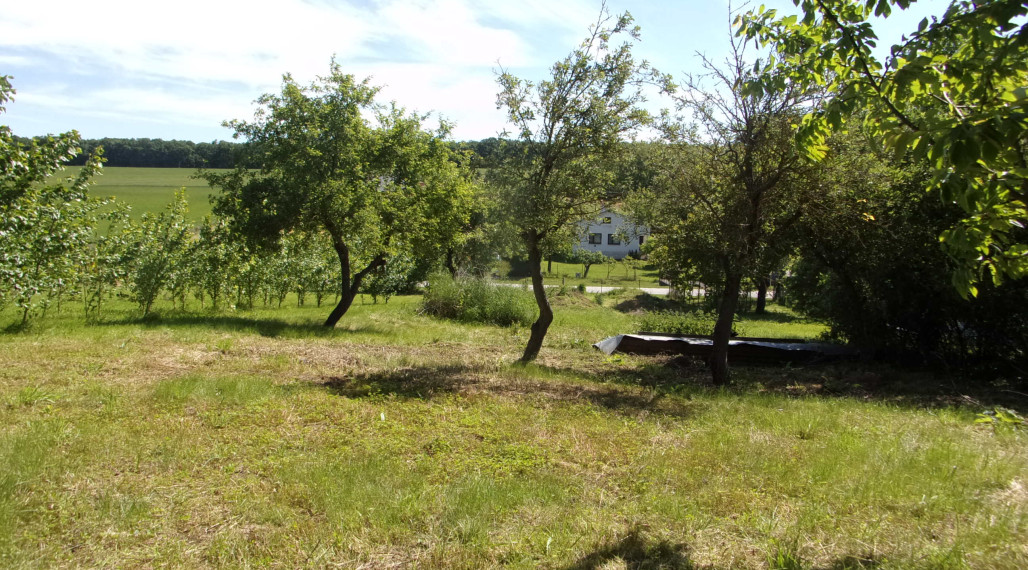 Predaj stavebný pozemok 2426 m2, tichá lokalita, blízkosť termálneho kúpaliska Podhájska