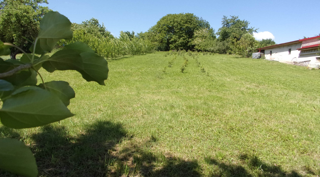 Na predaj stavebný pozemok 2426 m2, tichá lokalita, blízkosť termálneho kúpaliska Podhájska