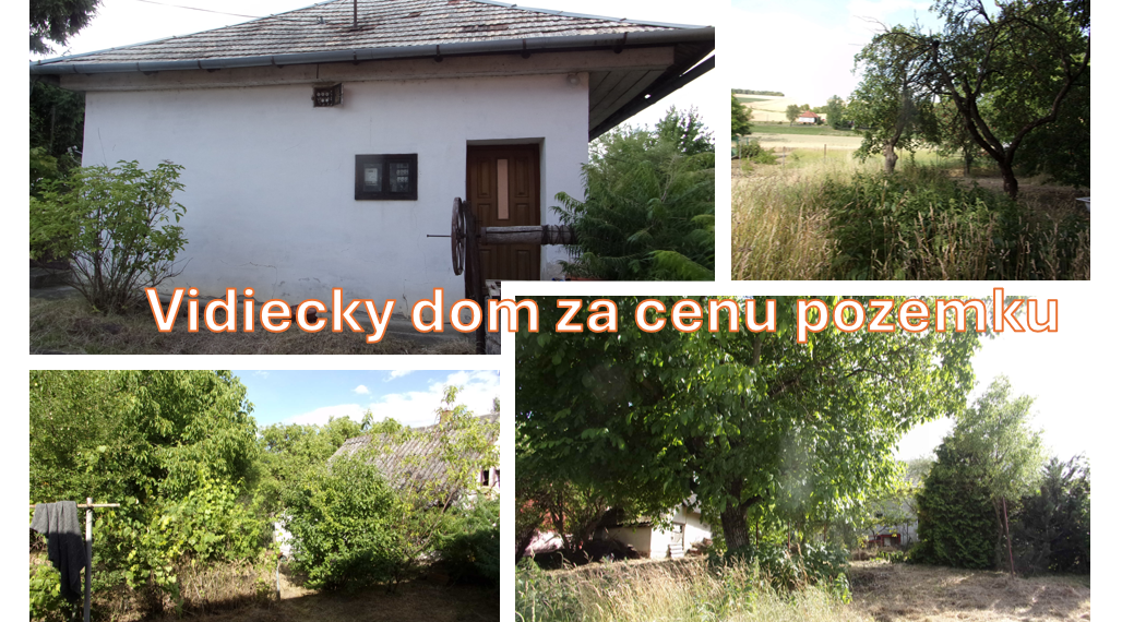 Exkluzívny predaj - vidiecky dom 90 m2, pozemok 4269 m2, Dedinka, Nové Zámky