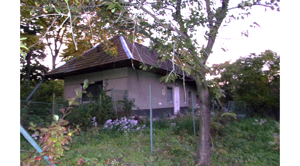 Exkluzívny predaj starší rodinný dom, zaujímavý pozemok 878 m2, Malé Kozmálovce  okres Levice