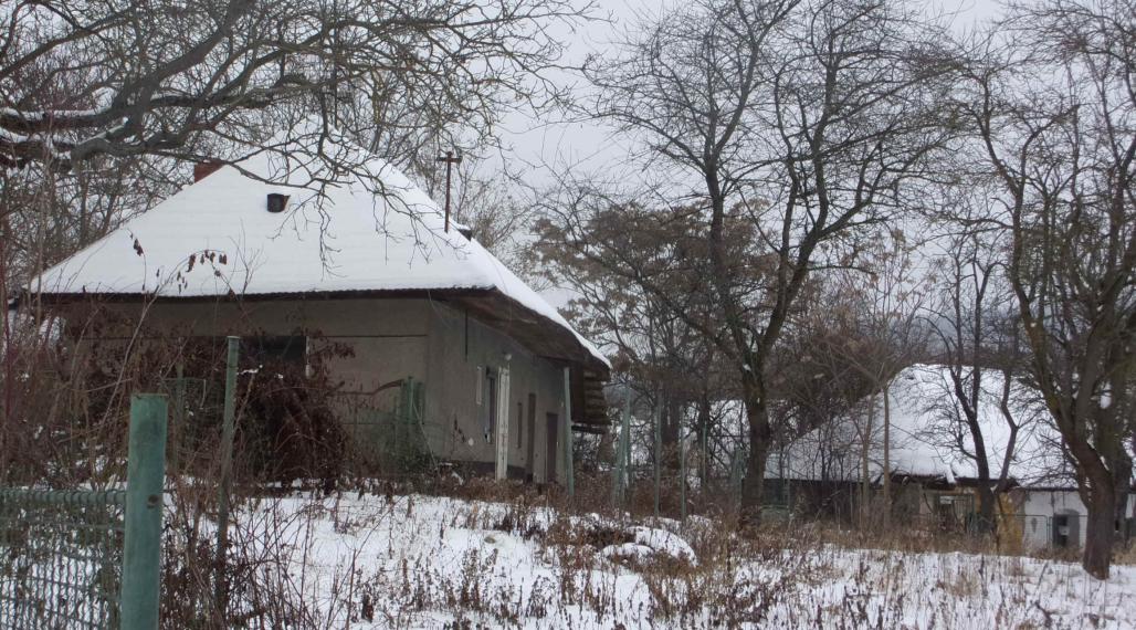 Exkluzívny predaj starší rodinný dom, zaujímavý pozemok 878 m2, Malé Kozmálovce  okres Levice