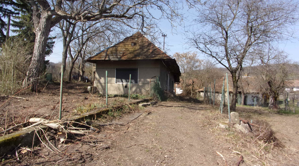 Exkluzívny predaj vidiecky dom, zaujímavý pozemok 878 m2, Malé Kozmálovce  okres Levice