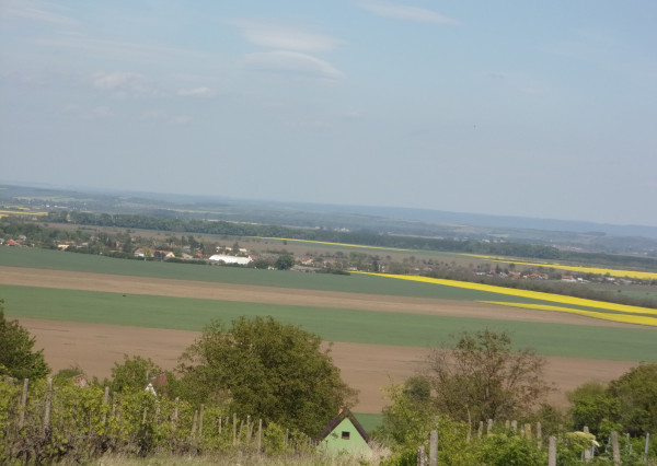 EXKLUZÍVNE v ponuke rekreačný pozemok 2950 m2 v obci Čaka neďaleko Levíc.