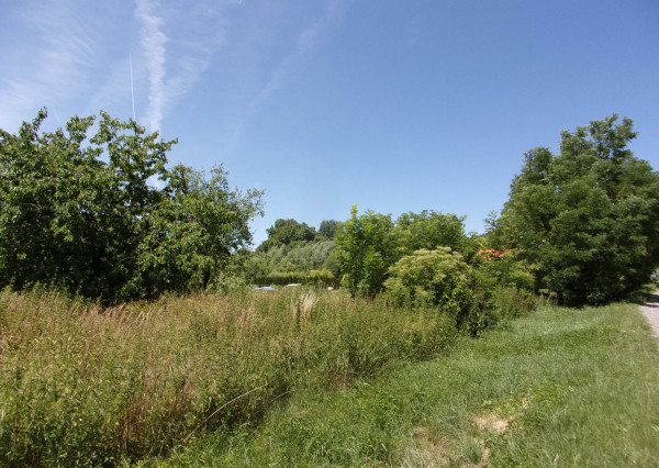 Exkluzívne predaj pozemku 4020 m2 , investičná príležitosť, obec Bardoňovo, blízkosť termálneho kúpaliska Podhájska