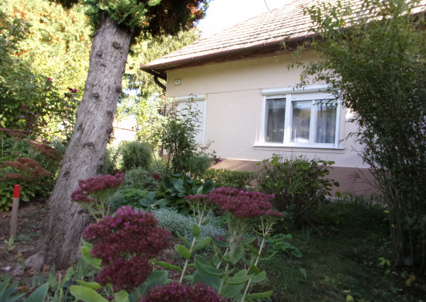 Na predaj útulný vidiecky dom 168 m2, pozemok 2457 m2, Pastovce, Levice