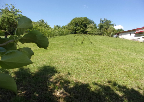 Na predaj stavebný pozemok 2426 m2, tichá lokalita, blízkosť termálneho kúpaliska Podhájska