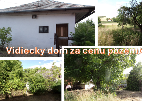 Exkluzívny predaj - vidiecky dom 90 m2, pozemok 4269 m2, Dedinka, Nové Zámky