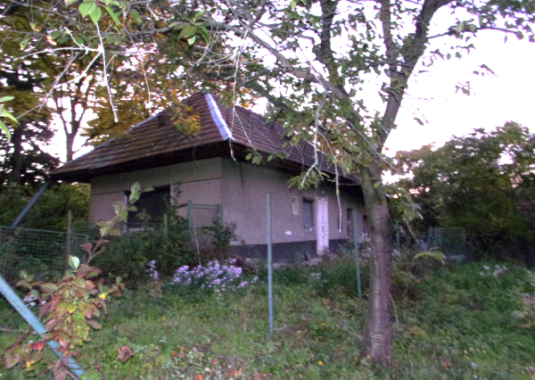 Exkluzívny predaj starší rodinný dom, zaujímavý pozemok 878 m2, Malé Kozmálovce  okres Levice