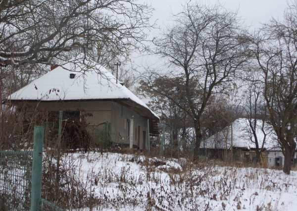 Exkluzívny predaj starší rodinný dom, zaujímavý pozemok 878 m2, Malé Kozmálovce  okres Levice
