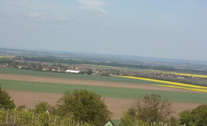 EXKLUZÍVNY predaj - rekreačný pozemok 2950 m2, Čaka, Levice. - fotografia 1