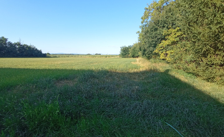 Na predaj zaujímavý stavebný pozemok 3800 m2 v tichej lokalite obce Medvecké, Levice - fotografia 4