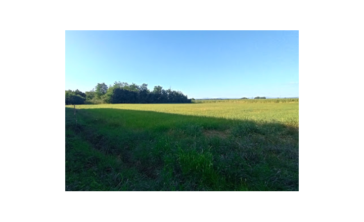 Na predaj zaujímavý stavebný pozemok 3800 m2 v tichej lokalite obce Medvecké, Levice - fotografia 5