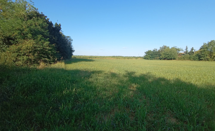 Na predaj zaujímavý stavebný pozemok 3800 m2 v tichej lokalite obce Medvecké, Levice - fotografia 6