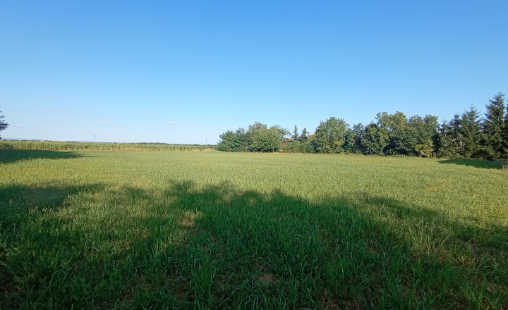Na predaj zaujímavý stavebný pozemok 3800 m2 v tichej lokalite obce Medvecké, Levice - fotografia 3