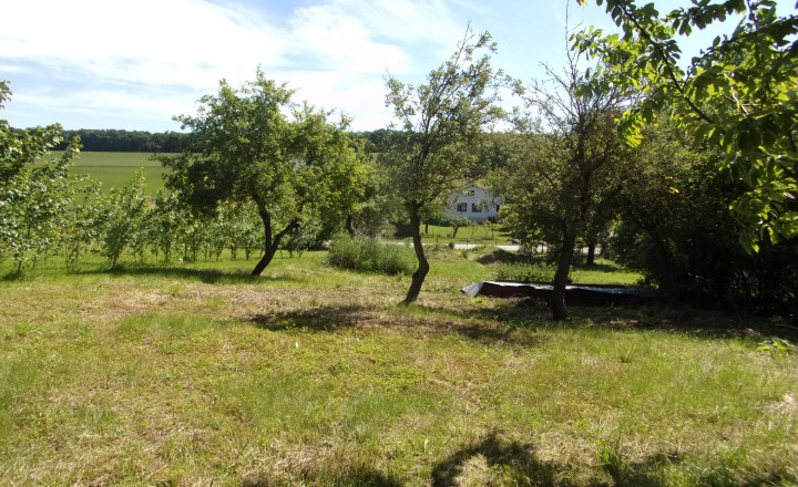 Predaj stavebný pozemok 2426 m2, tichá lokalita, blízkosť termálneho kúpaliska Podhájska