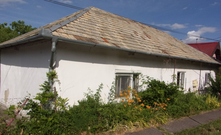 ZNÍŽENÁ CENA !!!!- vidiecky dom 90 m2, pozemok 4269 m2, Dedinka, Nové Zámky