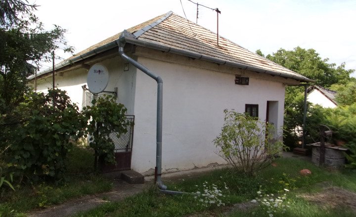 ZNÍŽENÁ CENA !!!!- vidiecky dom 90 m2, pozemok 4269 m2, Dedinka, Nové Zámky - fotografia 11