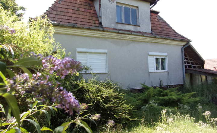 Exkluzívne na predaj rodinný dom, rekonštrukcia,  pozemok 2576 m2, Kolta, Nové Zámky - fotografia 10