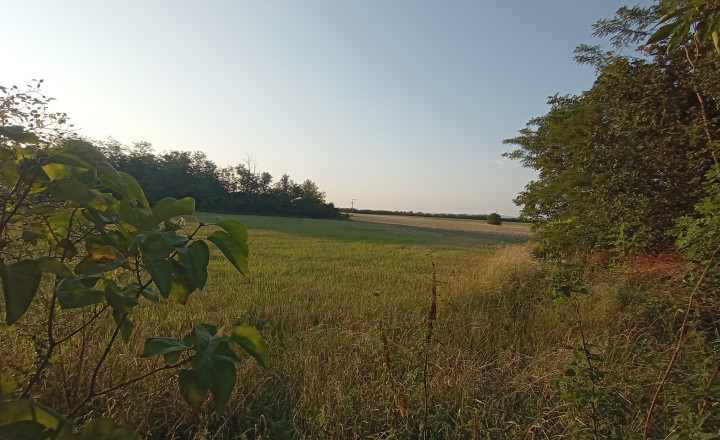Na predaj zaujímavý stavebný pozemok 3800 m2 v tichej lokalite obce Medvecké, Levice - fotografia 1