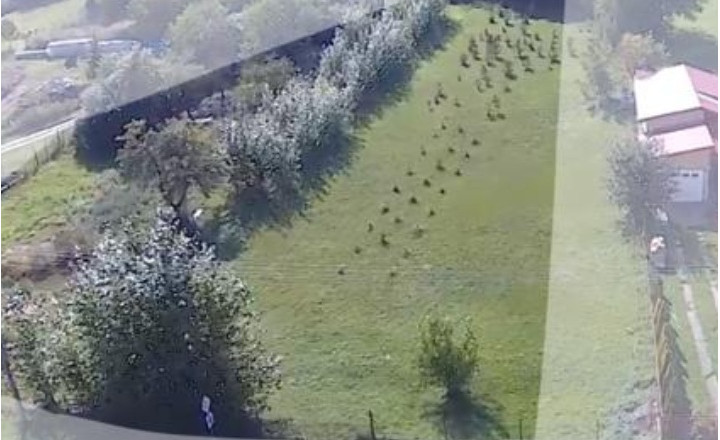Predaj stavebný pozemok 2426 m2, tichá lokalita, blízkosť termálneho kúpaliska Podhájska - fotografia 4