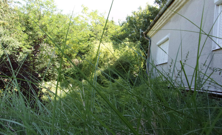 Exkluzívne na predaj rodinný dom, rekonštrukcia,  pozemok 2576 m2, Kolta, Nové Zámky - fotografia 12