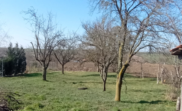 Znížená cena!! na predaj vidiecky dom, pôvodný stav, pozemok  2119 m2, Kolta, Nové Zámky - fotografia 13