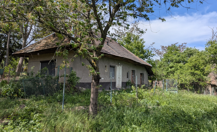 Exkluzívny predaj vidiecky dom, zaujímavý pozemok 878 m2, Malé Kozmálovce  okres Levice