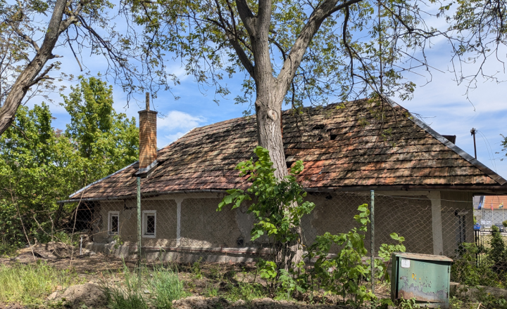Exkluzívny predaj vidiecky dom, zaujímavý pozemok 878 m2, Malé Kozmálovce  okres Levice - fotografia 4