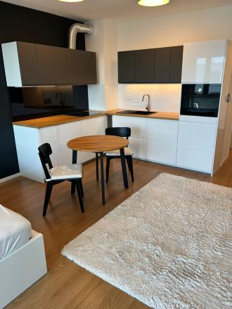 PRENAJATÉ Prenájom 1izbový byt Bratislava-Ružinov - fotografia 3
