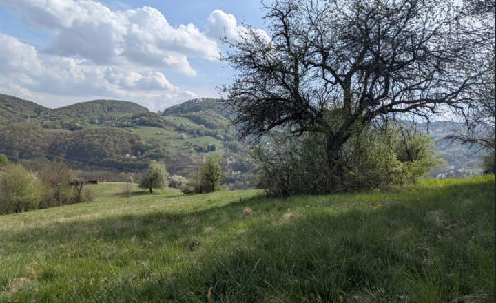Exkluzívne na predaj slnečné rekreačné pozemky Horné Hámre, Žarnovica - fotografia 8